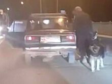 В российском городе мужчина привязал собаку к бамперу и тащил ее за машиной