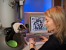 Российские учёные нашли вирусы, которые помогут бороться с раком