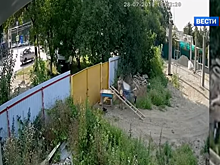 Кража садовой тачки подростками стала хитом в Сети