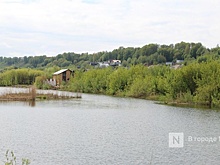 Нижегородские экологи опасаются застройки Артемовских лугов коттеджами