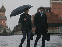 За последние сутки в России выявлено 8135 новых случаев COVID-19