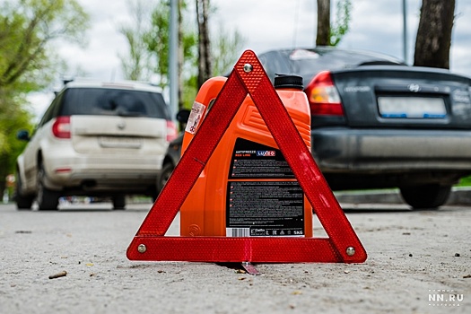 Водитель не виноват, но семье погибшего жителя Сергача оплатят ущерб