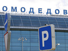 Для аэропорта Домодедово ищут инвесторов