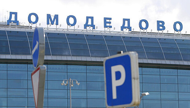Для аэропорта Домодедово ищут инвесторов