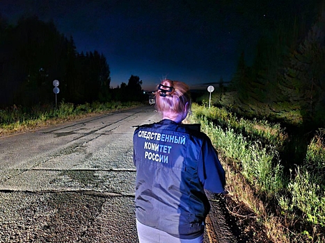 В Удмуртии осудили водителя, скрывшегося с места устроенного им смертельного ДТП