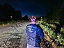 В Удмуртии осудили водителя, скрывшегося с места устроенного им смертельного ДТП