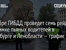 В ноябре ГИБДД проведет семь рейдов по поимке пьяных водителей в Петербурге и Ленобласти — график