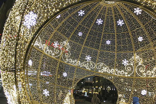 В российском городе птицы массово гибнут возле новогодних украшений