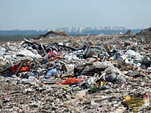 Петербургу напомнили о Шиесе и предложили начать реформу с Кронштадта