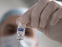 В Германии просят РФ и ЕС взаимно признать COVID-сертификаты