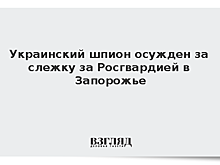 Украинский шпион осужден за слежку за Росгвардией в Запорожье