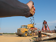 Ростовская область из-за погодных условий может потерять 30% урожая