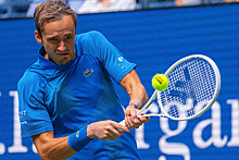 Теннисист Медведев высказался о тюремном сроке американки Грайнер