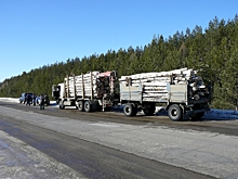 В Пензенской области проходит оперативно-профилактическое мероприятие «Лесовоз»