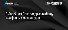 В Лодейном Поле задержали банду телефонных мошенников