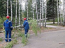 Ветер оставил без электричества жителей пяти районов Нижегородской области