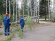 Ветер оставил без электричества жителей пяти районов Нижегородской области
