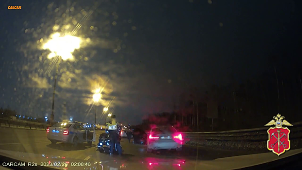 В Ленинградской области водитель-лихач стал фигурантом уголовного дела за причинение травм полицейским