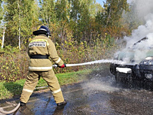 В Самарской области на трассе во время движения вспыхнула иномарка