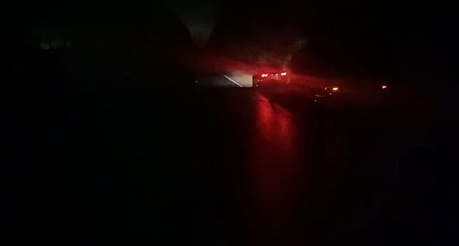 ДТП с пострадавшим случилось в Нижегородской области из-за лося