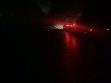 ДТП с пострадавшим случилось в Нижегородской области из-за лося