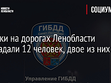 За сутки на дорогах Ленобласти пострадали 12 человек, двое из них - дети