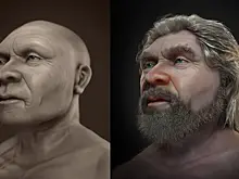 Чем Homo neanderthalensis превосходил Homo sapiens
