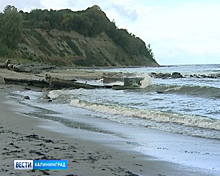 В Балтийском море наблюдается цветение сине-зелёных водорослей