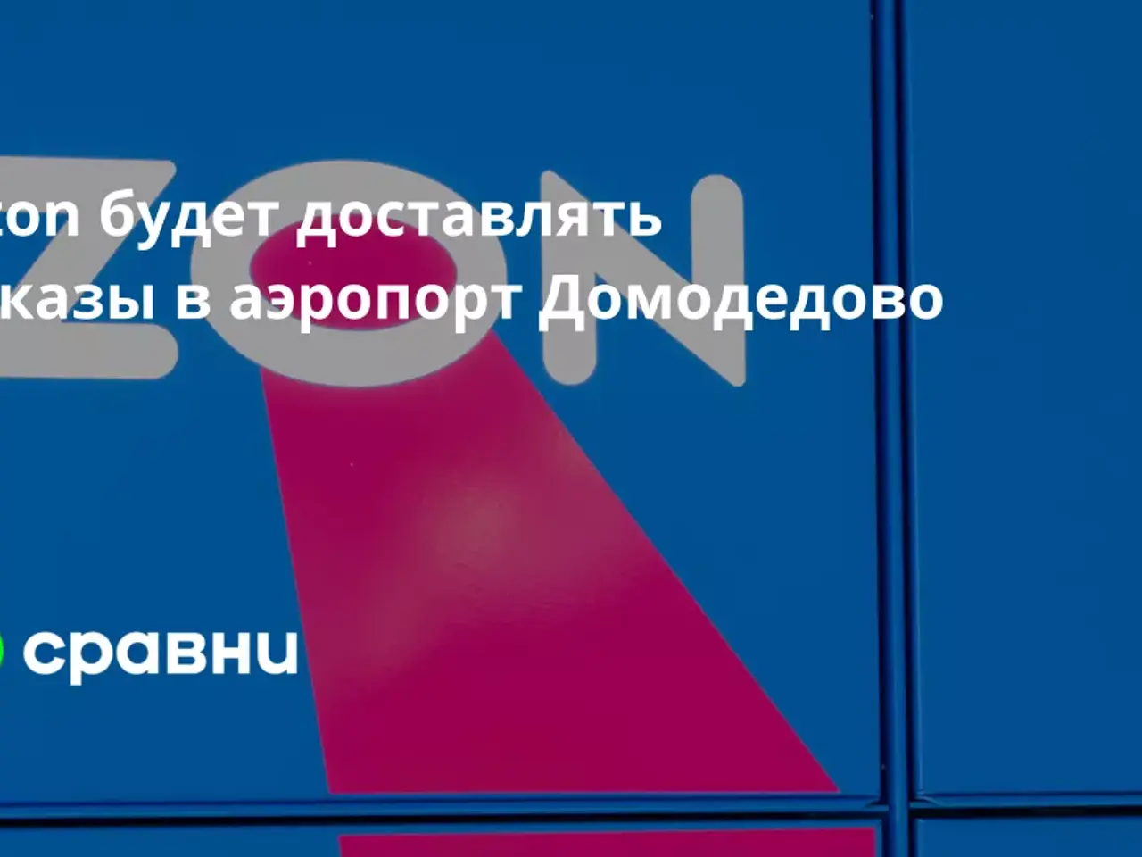 Ozon будет доставлять заказы в аэропорт Домодедово - Рамблер/путешествия