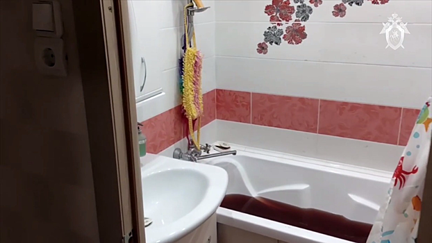 Опубликовано видео из квартиры в Ульяновске, где мужчина убил жену и маленьких дочек