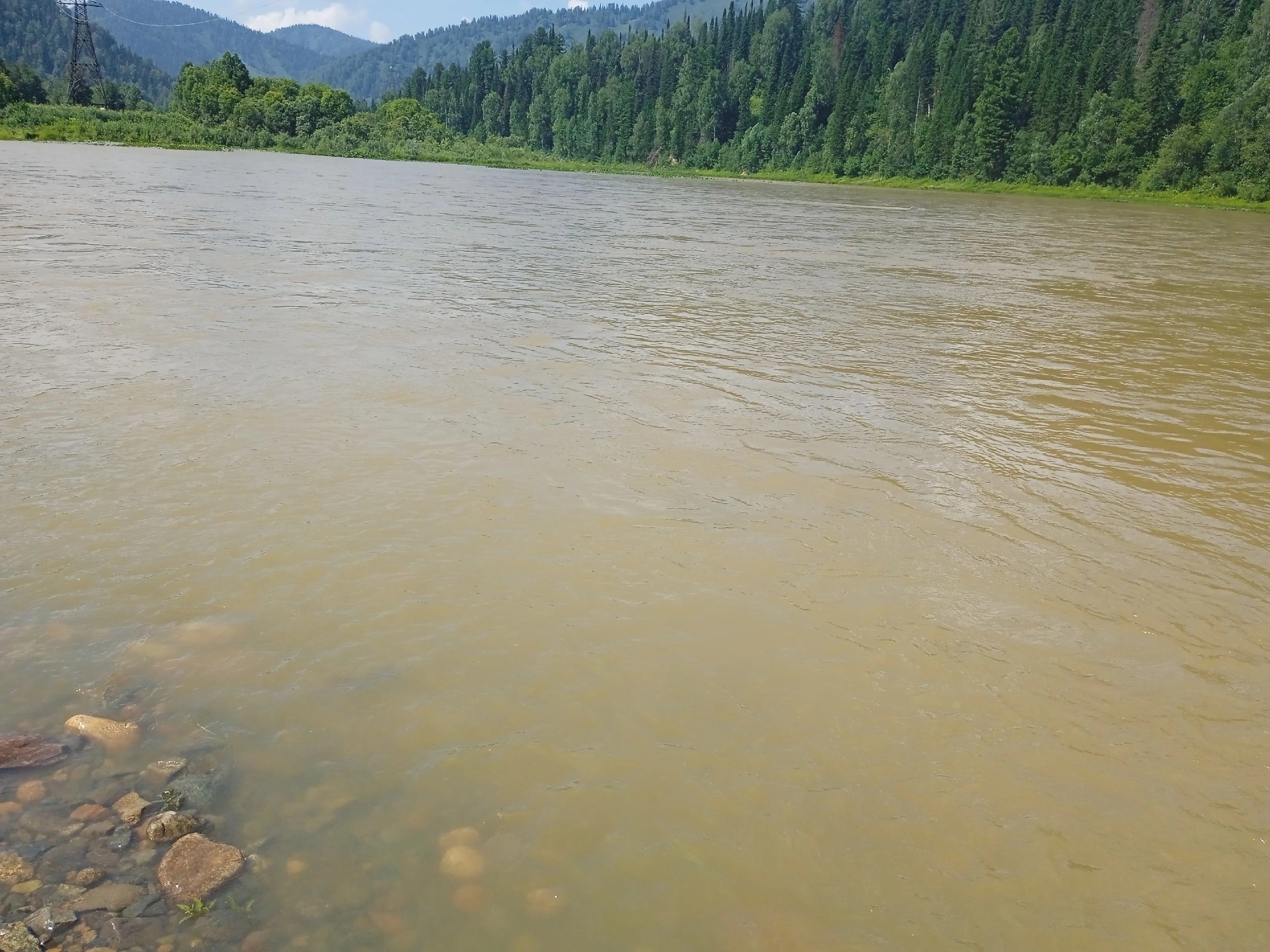 Власти уличили одного золотодобытчика из многих в порче кузбасских рек