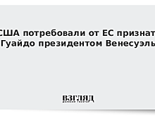 США призвали ЕС признать Гуаидо главой Венесуэлы, заявил Пенс