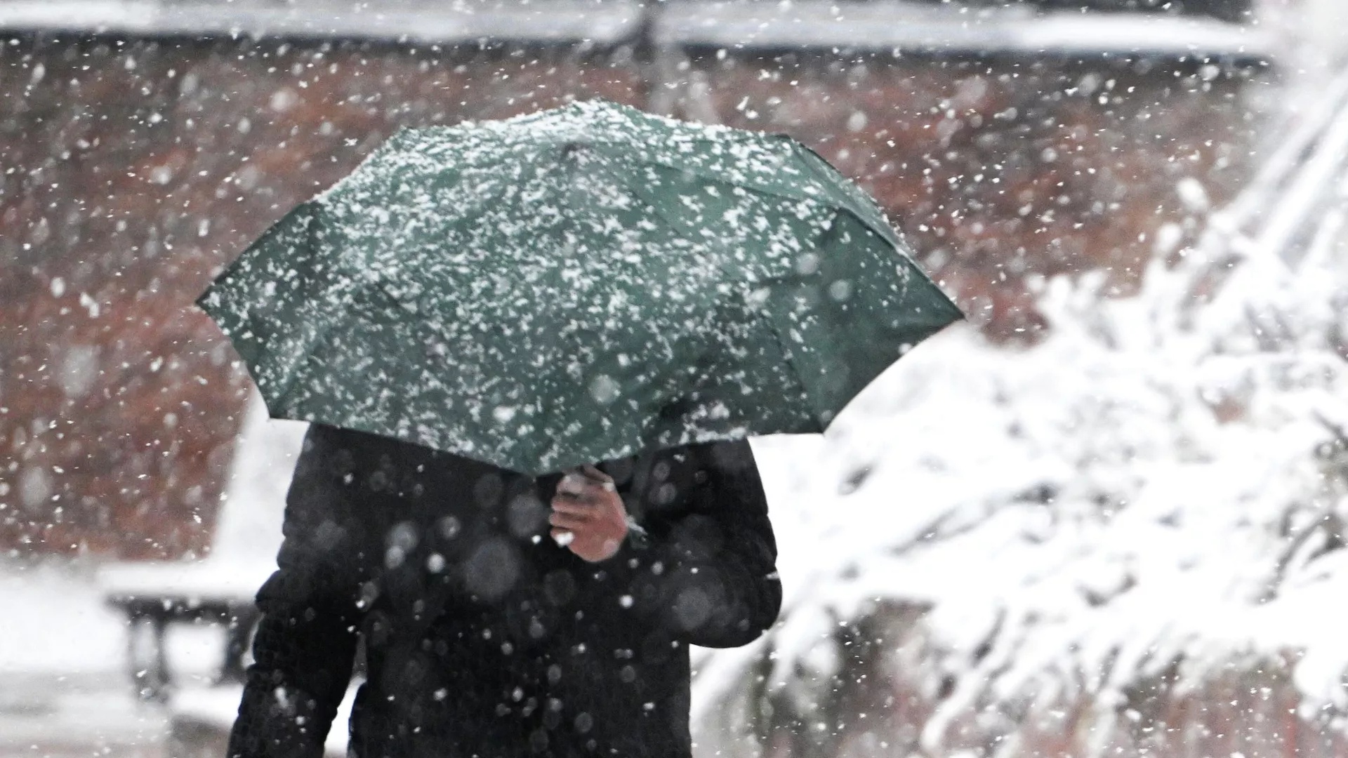 Синоптики предупредили о погодных аномалиях в регионах России