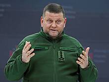 На Украине предрекли появление партий Буданова, Залужного и Малюка