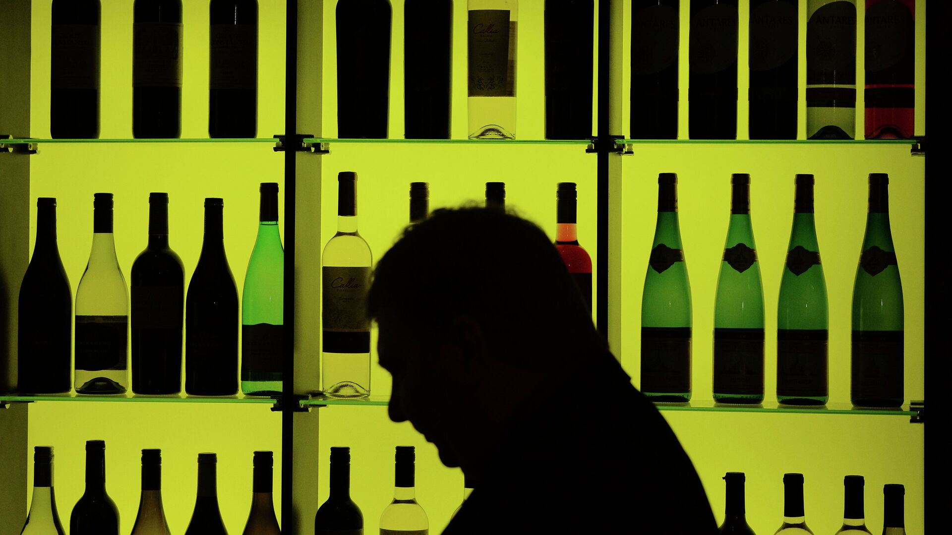 Минфин предложил повысить цены на ряд алкогольных напитков