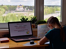 «Это формат, требуемый временем»: педагоги и школьники оценили дистанционное обучение 