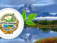 Россия реорганизует общество охраны природы для борьбы с лоббистами