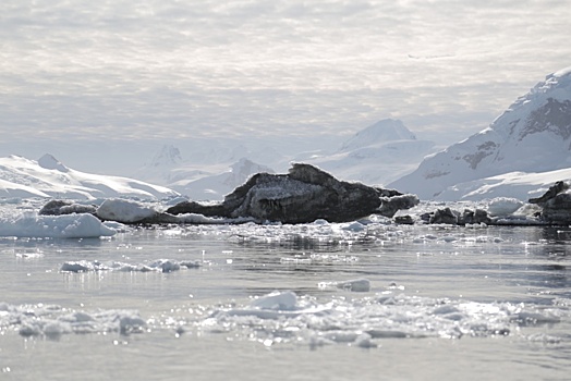 Гутерриш: Антарктида «пробуждается» из-за климатического хаоса