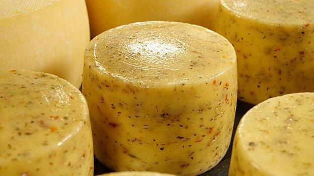 В Московской области объем производства сыров вырос на 25%