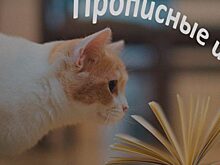 Прописные истины. Михаил Булгаков