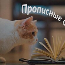 Прописные истины. Михаил Булгаков