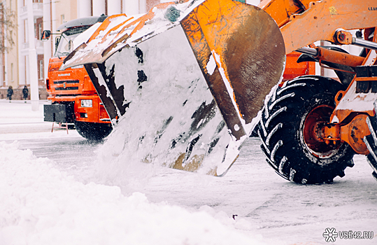 "Словно с похмелья": трактор во время уборки снега в Кемерове массово уничтожил сосны