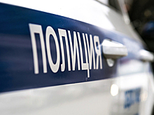 Полиция случайно уничтожила ключевую улику в деле о пропавшей девочке