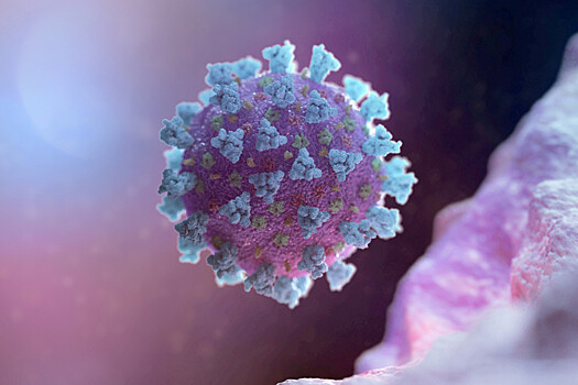 Эксперт оценил опасность нового штамма коронавируса «мю» для России