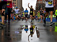 У марафонцев обнаружили повышающую физическую выносливость бактерию