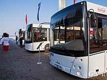 На городские маршруты Самары введут 26 дополнительных автобусов