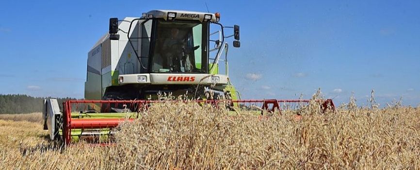 Власти Свердловской области ежегодно вводят в оборот новые земли сельхозназначения