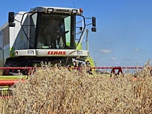 Власти Свердловской области ежегодно вводят в оборот новые земли сельхозназначения