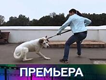 И пусть все знают, кто в доме хозяин!