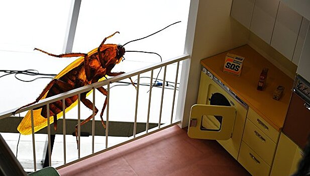 Ученые выявили странную закономерность между радиоволнами и тараканами